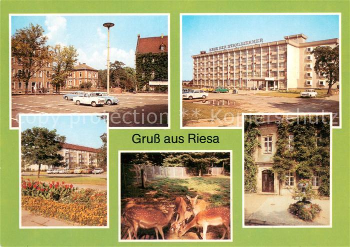 Riesa Sachsen Leninplatz Haus der Stahlwerker Greiswalder Strasse Tierpark Ratha