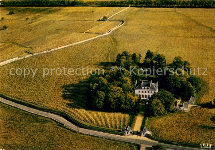 Pommard Chateau vineyard vue aérienne