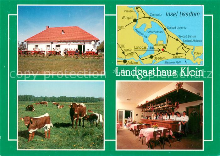 Mellenthin Landgasthaus Klein Gastraum Rinderherde Inselkarte