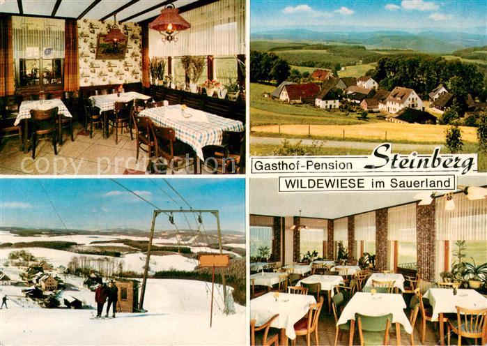 Wildewiese Gasthof Pension Steinberg Gastraeume Panorama Schlepplift