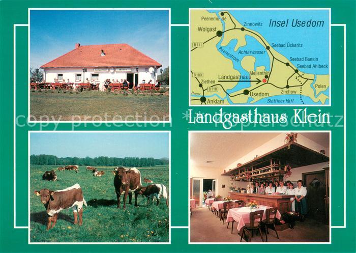 Mellenthin Landgasthaus Klein Gastraum Inselkarte Rinderherde