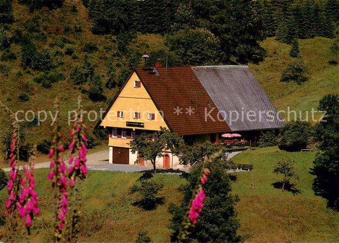 Schenkenzell Gasthof Cafe Martinshof