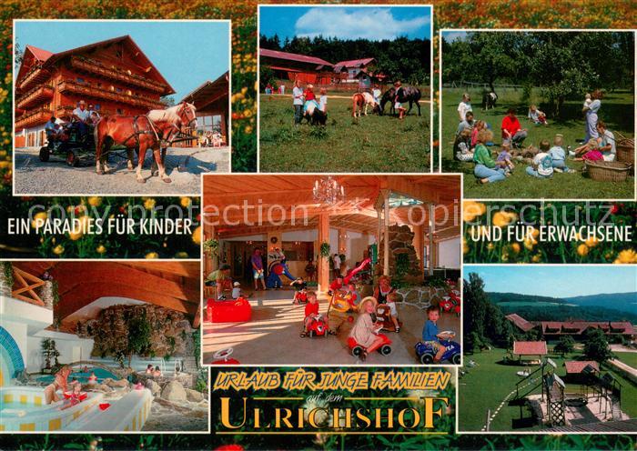 Zettisch Urlaub auf dem Ulrichshof Pferdekutsche Hallenbad Pferde Kinderspielpla