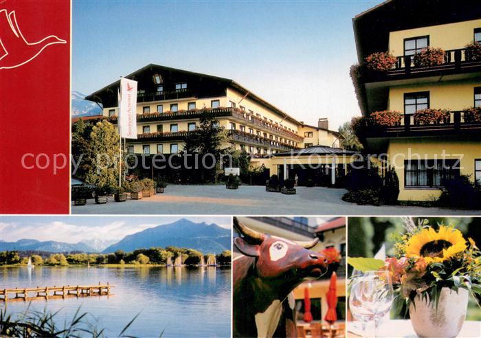 Grassau Chiemgau Sporthotel Achental Chiemsee Bunte Kuh Sonnenblume