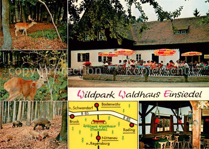 Nittenau Wildpark Waldhaus Einsiedel Terrasse Gaststube Wildgehege