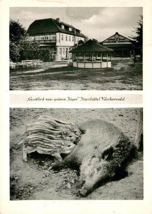 Itzenbuettel Gasthof zum gruenen Jaeger Bache mit Frischlingen