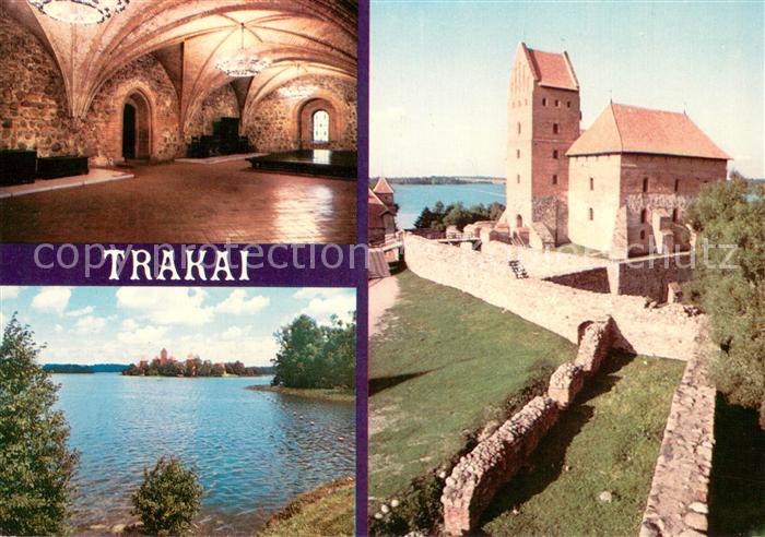 Trakai Salos pilies ansamblis
