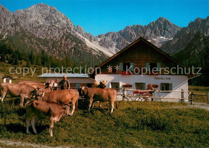 Telfs Tirol Eppzirler Alm