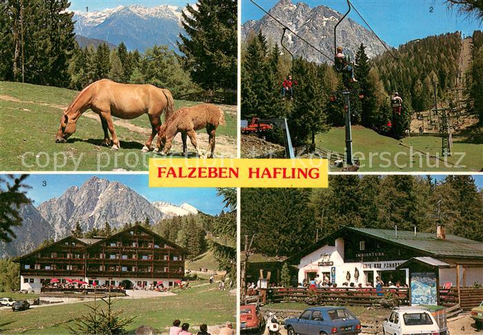 Hafling Haflinger Pferde Sessellift Gasthof Falzleben mit Ifinger Cafe Panorama
