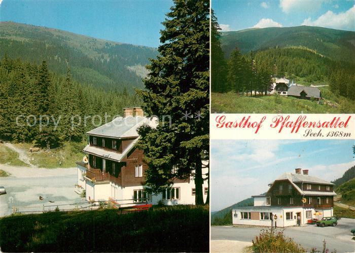Steinhaus am Semmering Gasthof Pfaffensattel Panorama