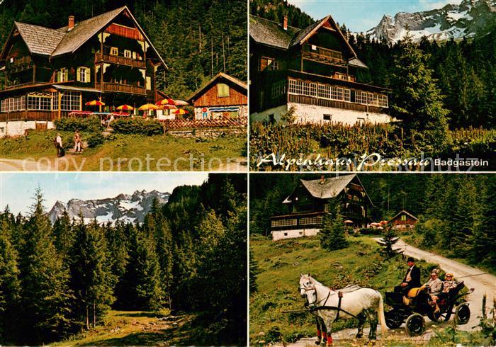 Badgastein Alpenhaus Prossau Panorama Pferdekutsche