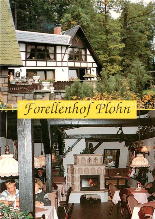 Plohn Lengenfeld Gaststaette Forellenhof Restaurant Kaminzimmer
