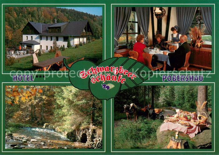 Pobershau Flair Hotel Schwarzbeerschaenke Gastraum Picknick Pferdewagen Natur
