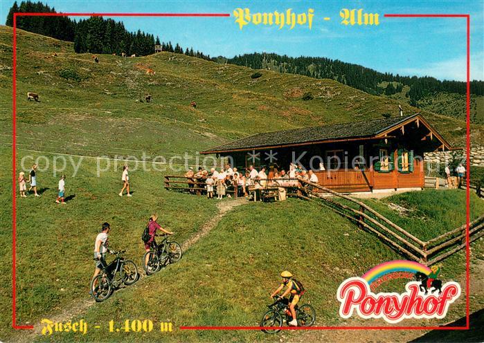Fusch Grossglocknerstrasse Ponyhof Alm