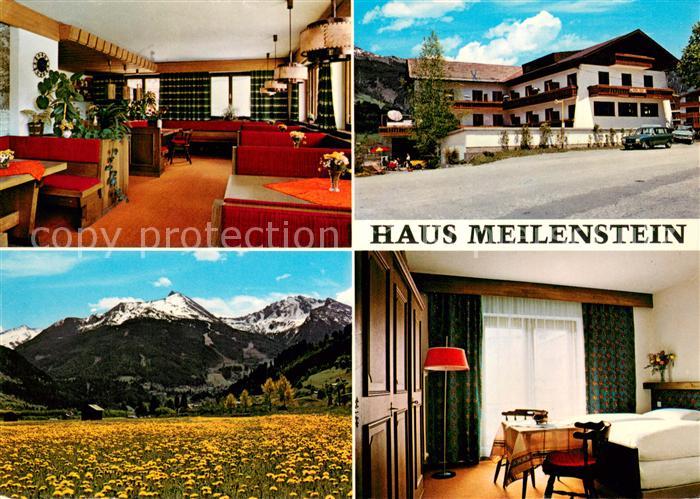 Bad Hofgastein Pension Haus Meilenstein Landschaftspanorama Blumenwiese Alpen