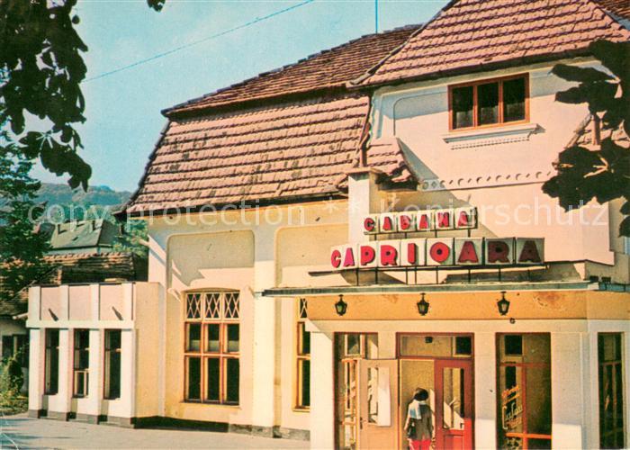 Bazna Restaurantul Caprioara Restaurant La Chevreuil