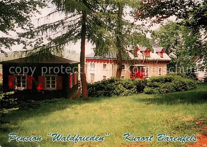 Baerenfels Erzgebirge Pension Waldfrieden am Wald