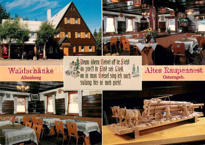 Altenberg Erzgebirge Waldschaenke Altes Raupennest Pferdefuhrwerk Holzschnitzere