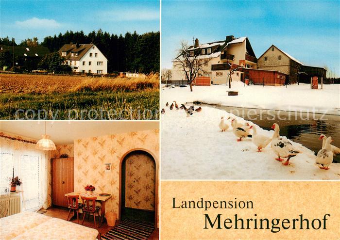 Hohenbuch Leupoldsgruen Landpension Mehringerhof Fremdenzimmer Partie am Wasser