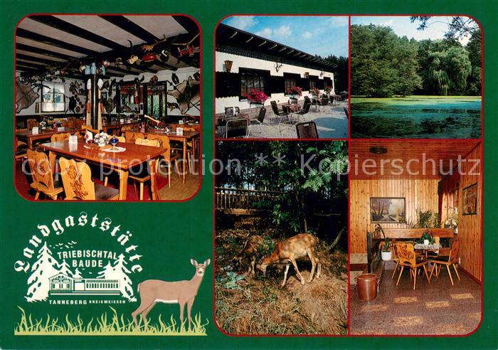 Tanneberg Triebischtal Landgaststaette Triebischtalbaude Gaesteraum Terrasse See