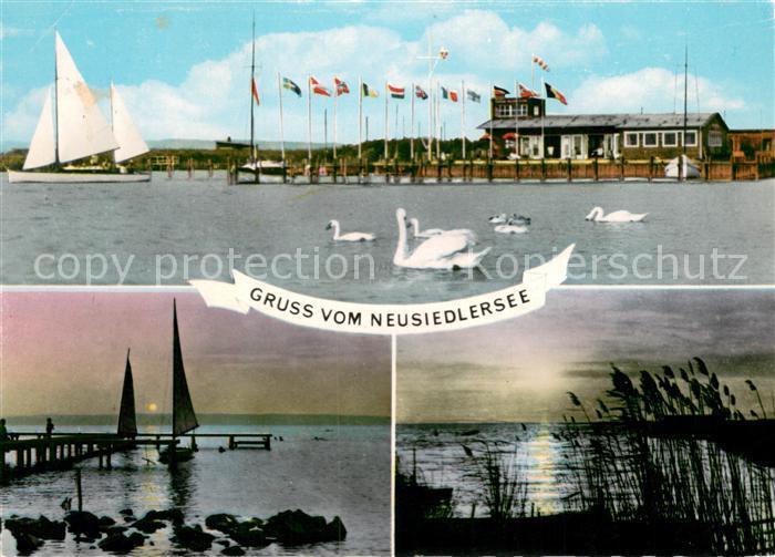 Neusiedl See Yachtclub Strand von Podersdorf Abendstimmung Schwaene