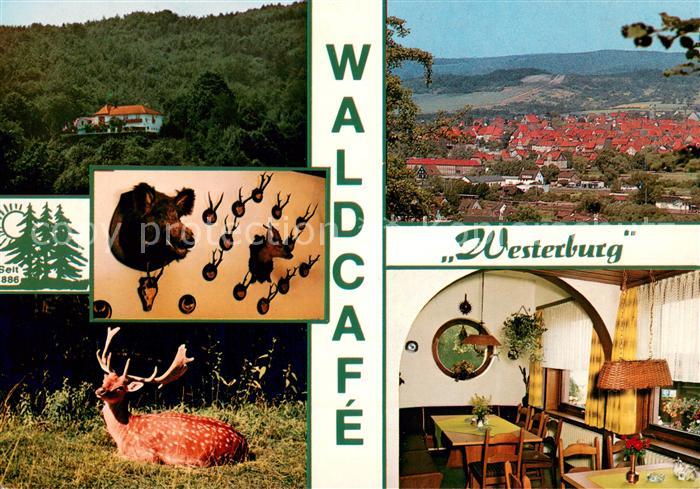 Bad Sooden-Allendorf Ausflugslokal WaldCafe Westerburg Werratal Hirsch