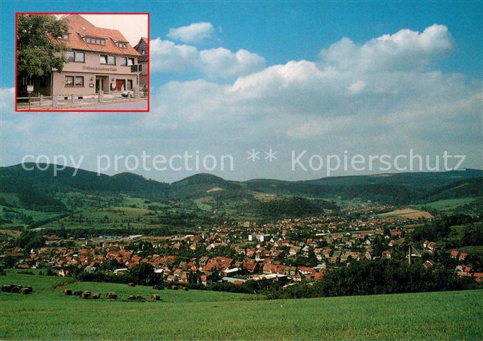 Floh-Seligenthal Panorama Gasthaus Zum goldenen Loewen