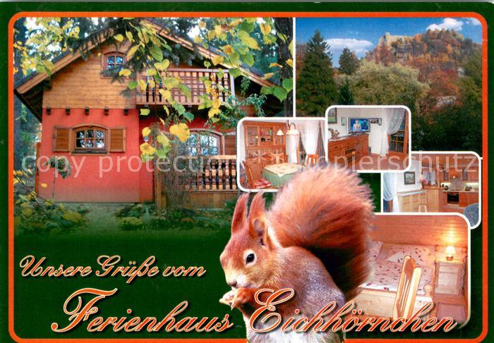 Oybin Sachsen Ferienhaus Eichhoernchen Zittauer Gebirge