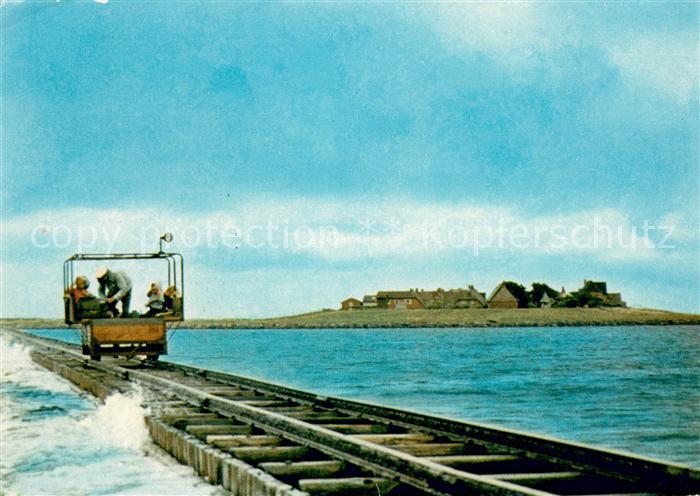 Oland Lorenfahrt zur Hallig