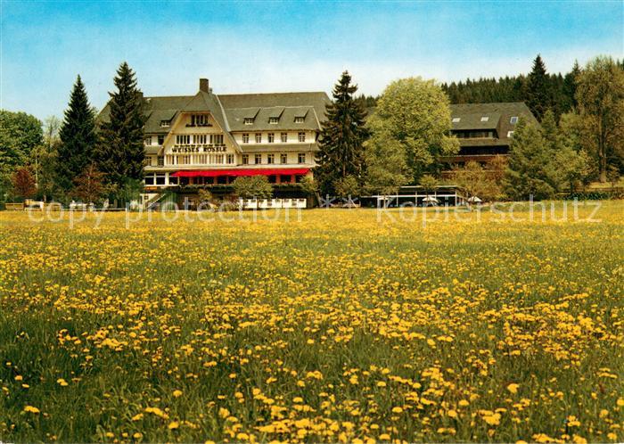 Hinterzarten Breisgau-Hochschwarzwald BW Hotel Weisses Roessle Blumenwiese Schwa