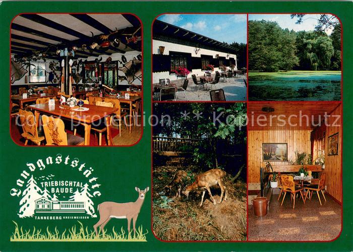 Tanneberg Triebischtal Landgaststaette Triebischtalbaude Restaurant Wild Landsch