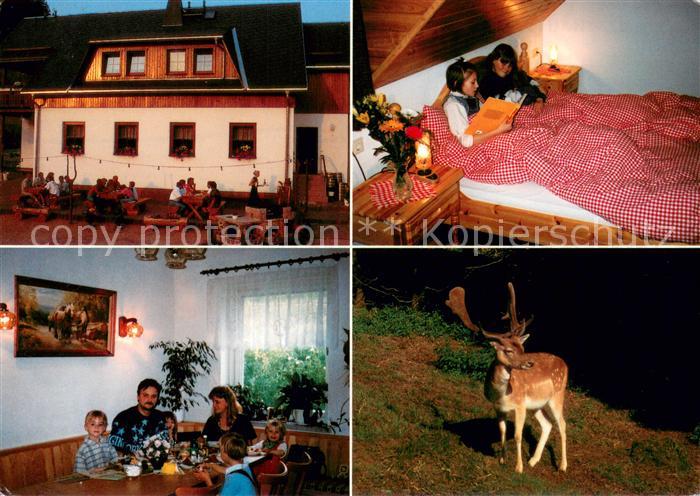 Sachsengrund Gasthaus Pension Widmannsheil Fremdenzimmer Hirsch Wildgehege
