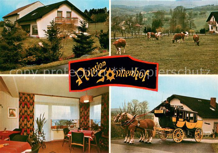 Geringhausen Pension Sonnenhof Gaesteraum Postkutsche Viehweide Kuehe