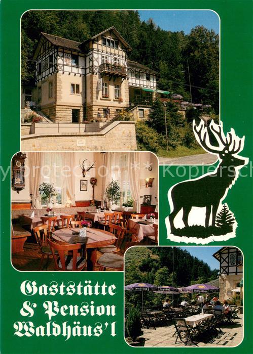 Bad Schandau Gaststaette Pension Waldhaeus l Restaurant Terrasse Hirsch