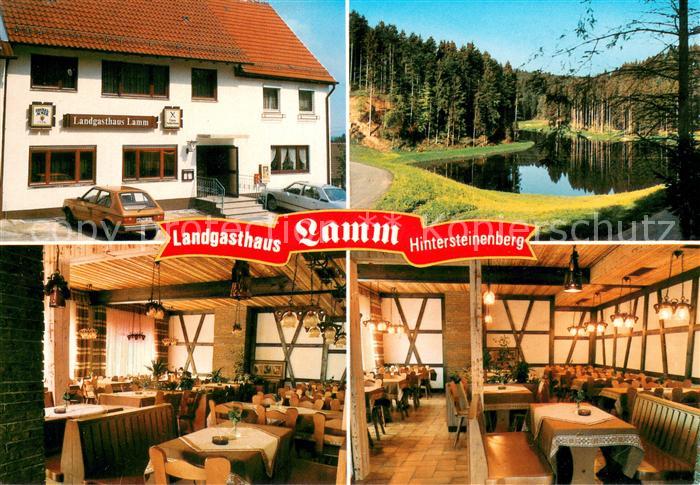 Hintersteinenberg Landgasthaus Lamm Restaurant Landschaftspanorama See
