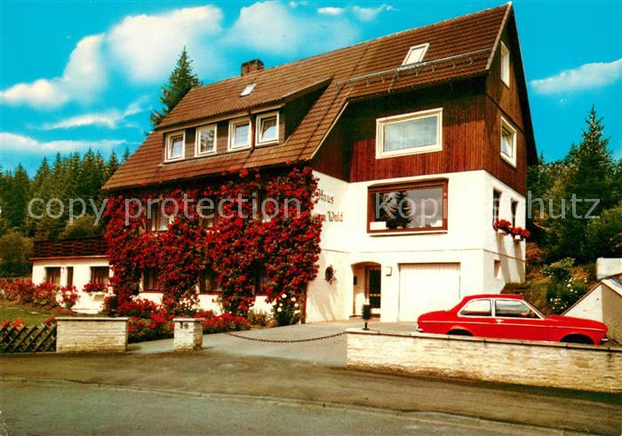 Braunlage Harz Gaestehaus Pension Haus am Wald