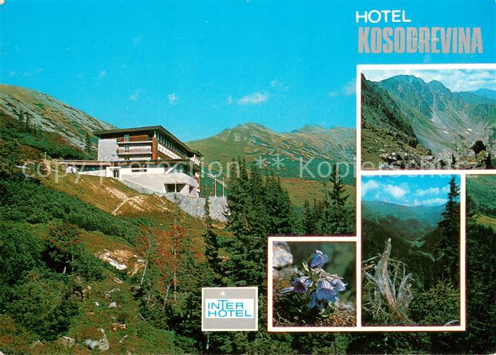 Horna Lehota Hotel Kosodrevina Interhotel Landschaftspanorama Bergflora Hohe Tat