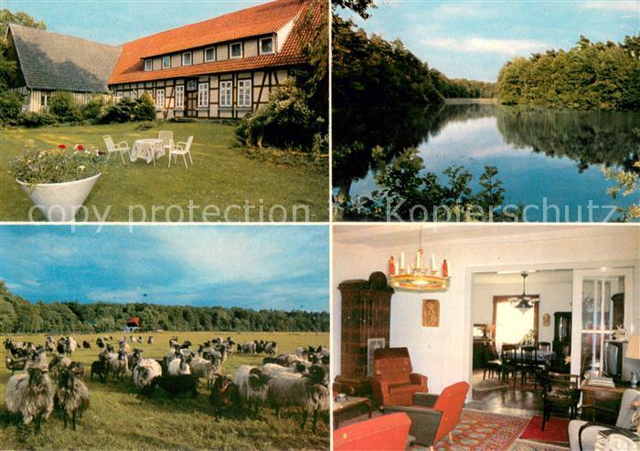 Bargfeld Eldingen Sieglindenhof Urlaub auf dem Bauernhof Schafherde