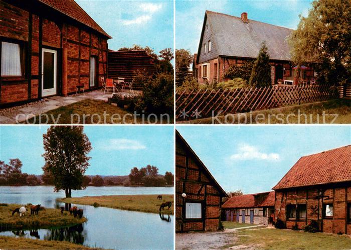 Damnatz Ferienhaus Ferienwohnungen Erika Schulz Pferde am Wasser