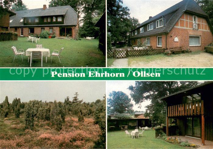 Ollsen Pension Ehrhorn Lueneburger Heide