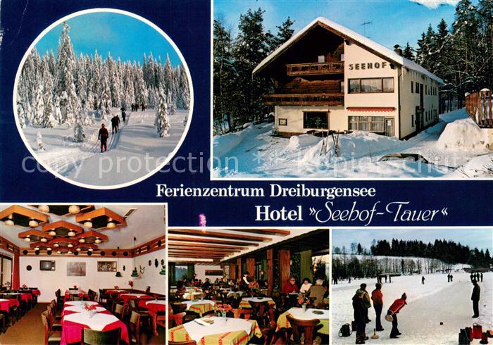 Rothau Dreiburgensee Ferienzentrum Dreiburgensee Hotel Seehof Tauer Restaurant W