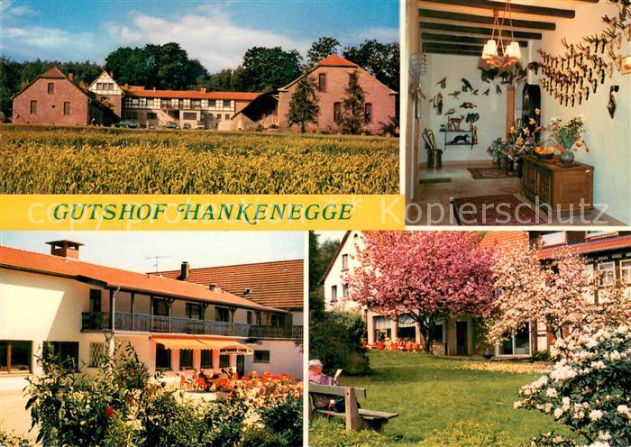 Bentorf Ferien auf dem Gutshof Hankenegge Garten Baumbluete