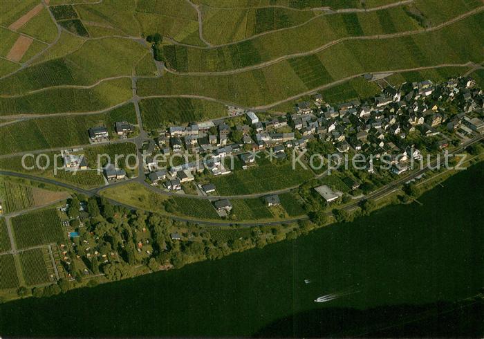 Mesenich Cochem Fliegeraufnahme Mosel