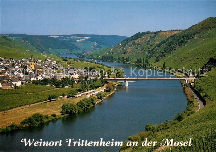 Trittenheim Mosel Moselpartie Fliegeraufnahme