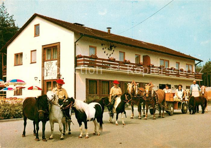 Gruental Freudenstadt Gr?ntaler Hof Pferde