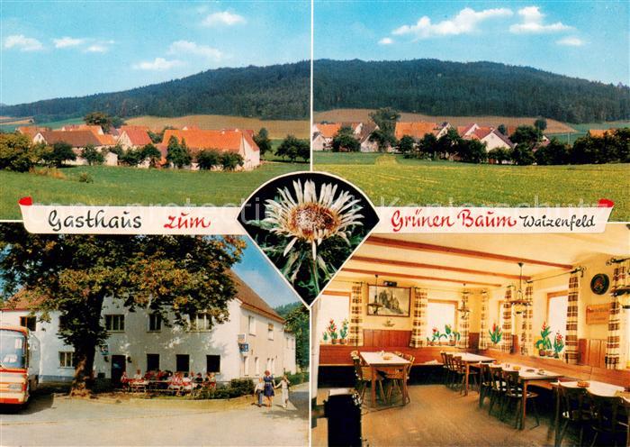 Waizenfeld Gasthaus zum gr?nen Baum