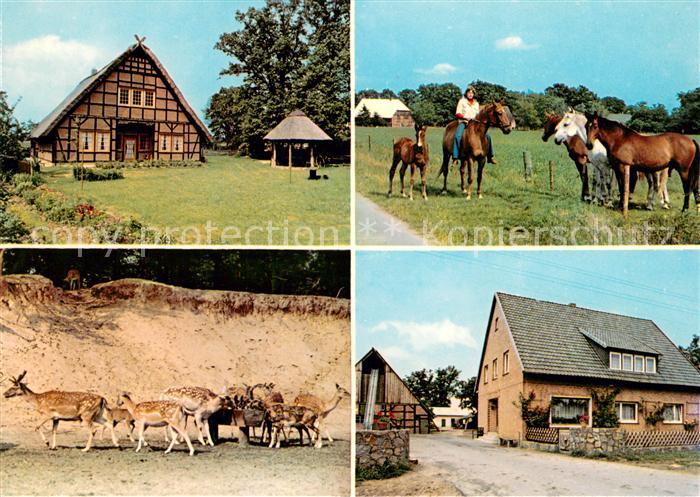 Trebel Reiterhof Klaucke Wild Pferde