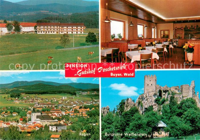 Poschetsried Pension Gutshof Burgruine Weissenstein Regen
