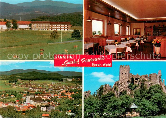 Poschetsried Pension Gutshof Burgruine Weissenstein Regen