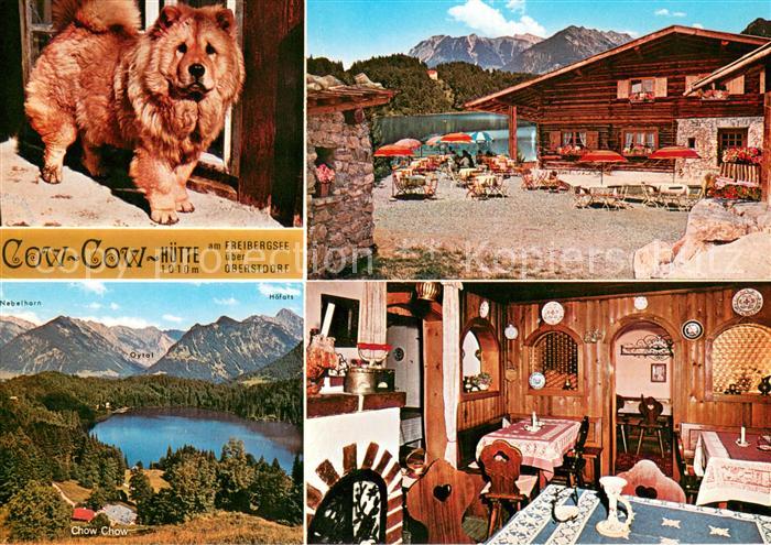 Oberstdorf Chow Chow H?tte